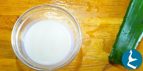 خلطة جل الألوفيرا والحليب لتبييض الركب والاكواع